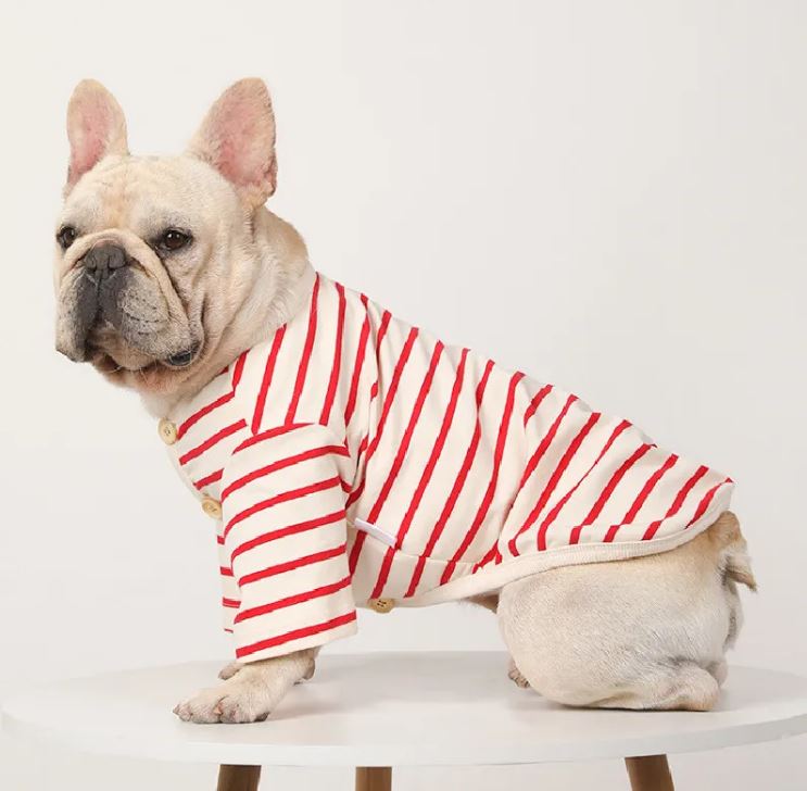 Comfortable Roxy French Bulldog Winter Shirt (wj05) for Casual Outings