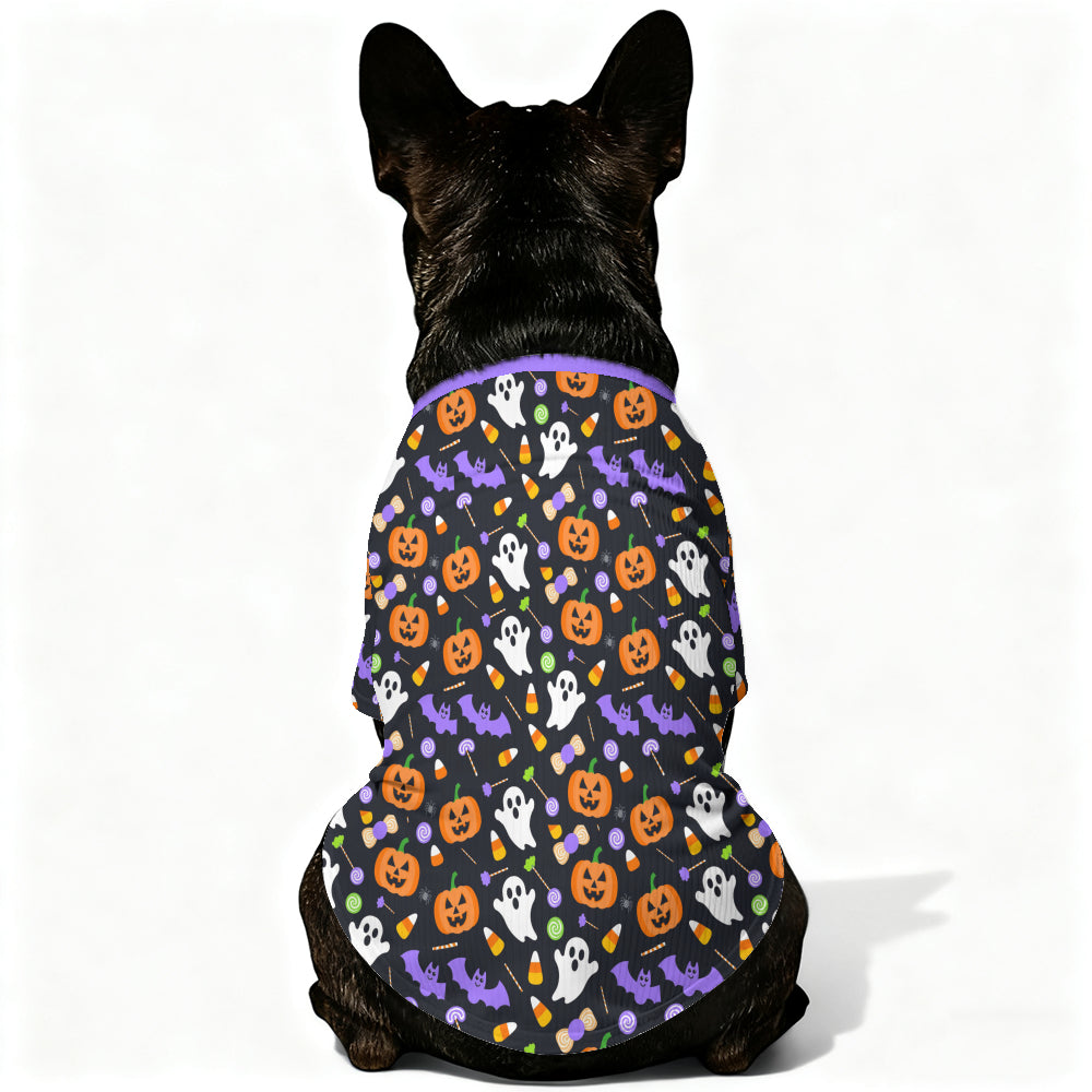 French Bulldog Zuma Wool Sweater For Frenchies Cozy Pet Winter Wear