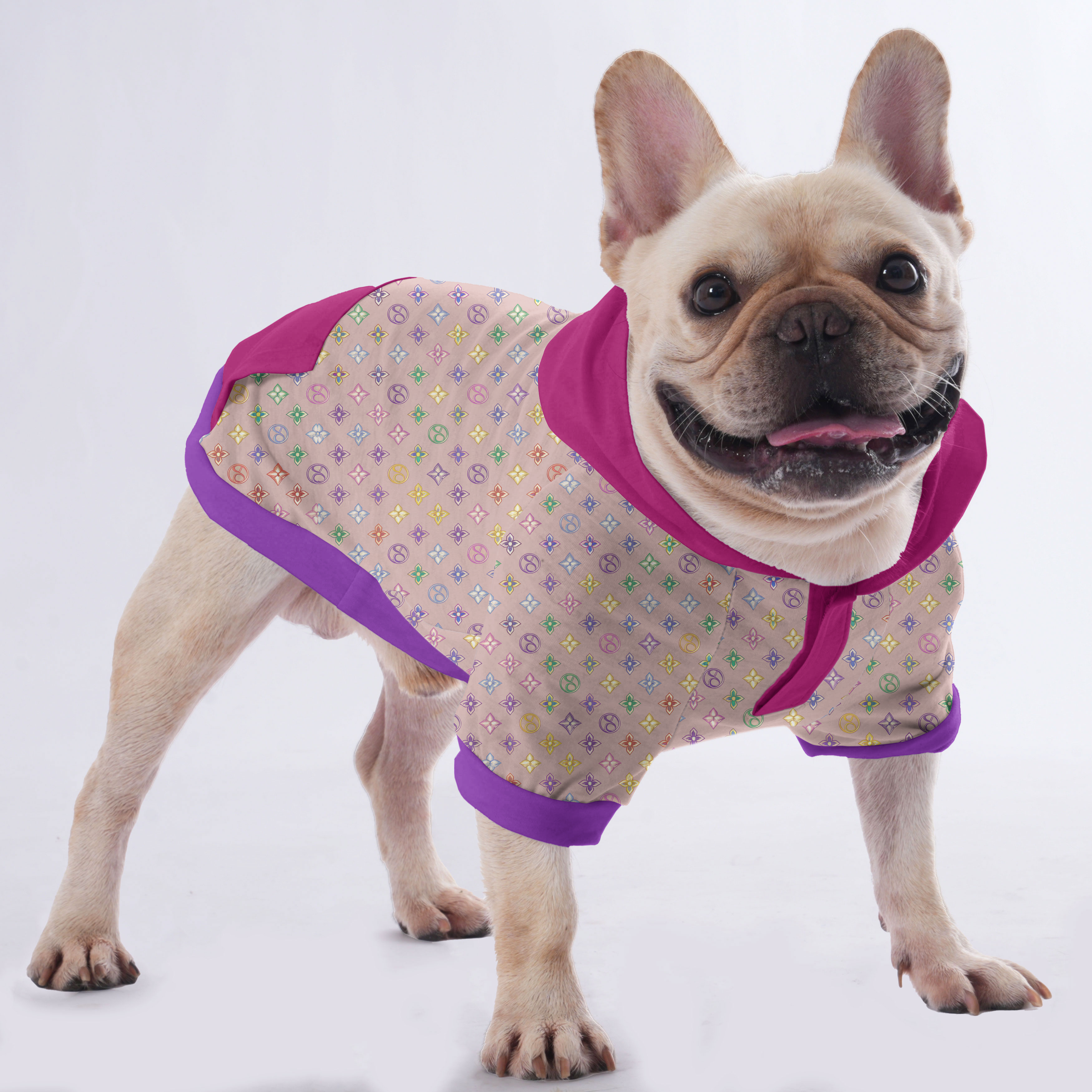 French Bulldog Skye Hoodies For French Bulldog | Frenchie Shop Original Durable Dog Item