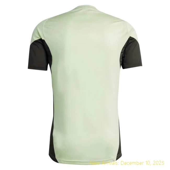 2025-2026 RM Jersey - Training Edition - High Quality (Ronaldo 9)