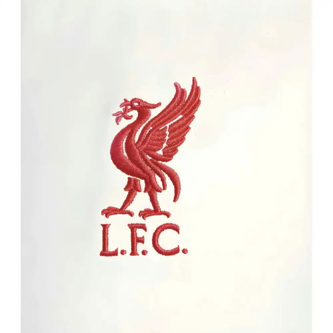Latest Liverpool Training Football Shirt 2024-2025 (Kids)