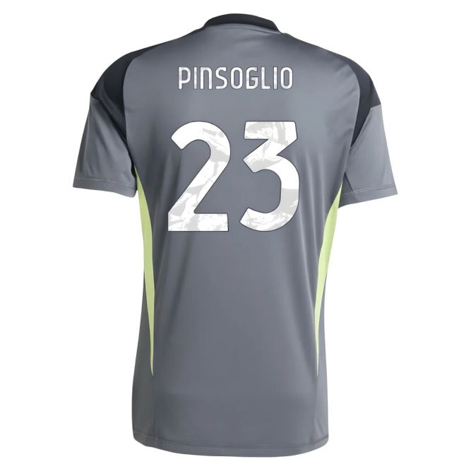 2025-2026 Juventus Home Goalkeeper Shirt (Grey) (Pinsoglio 23)