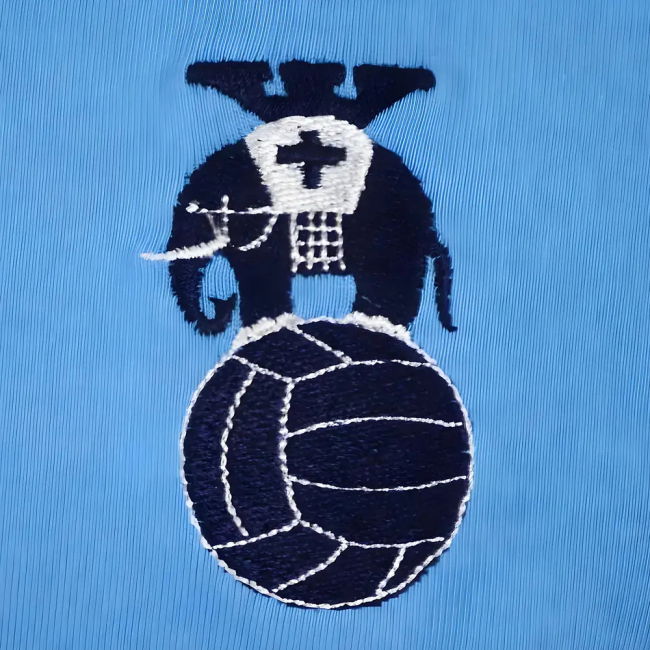 Coventry City T-Kit - Sky/Navy