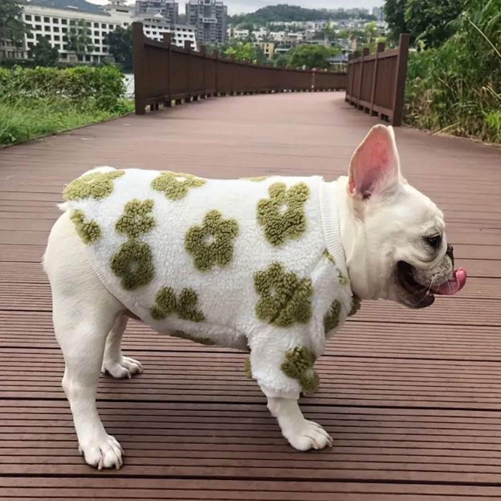 - Premium Flower Bloom Frenchie Sweater Stylish Pet Apparel Casual Wear