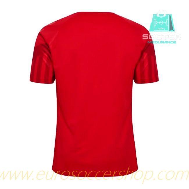 2022-2023 Denmark Home Kit