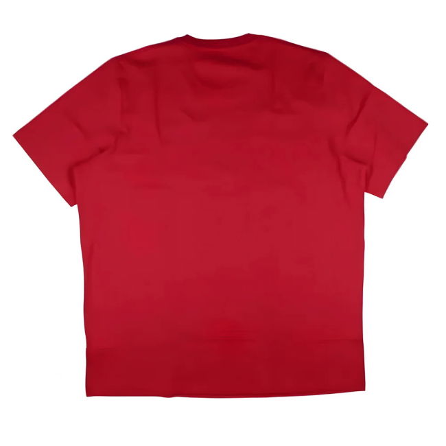 Bayern Munich DNA Graphic 2024-2025 T-Shirt - (Men