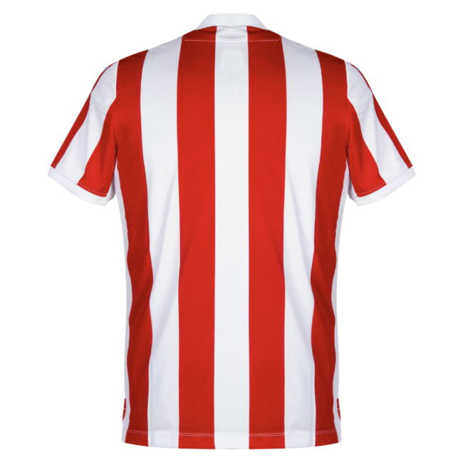 2018-20 Stoke City high quality Home Shirt - Adults