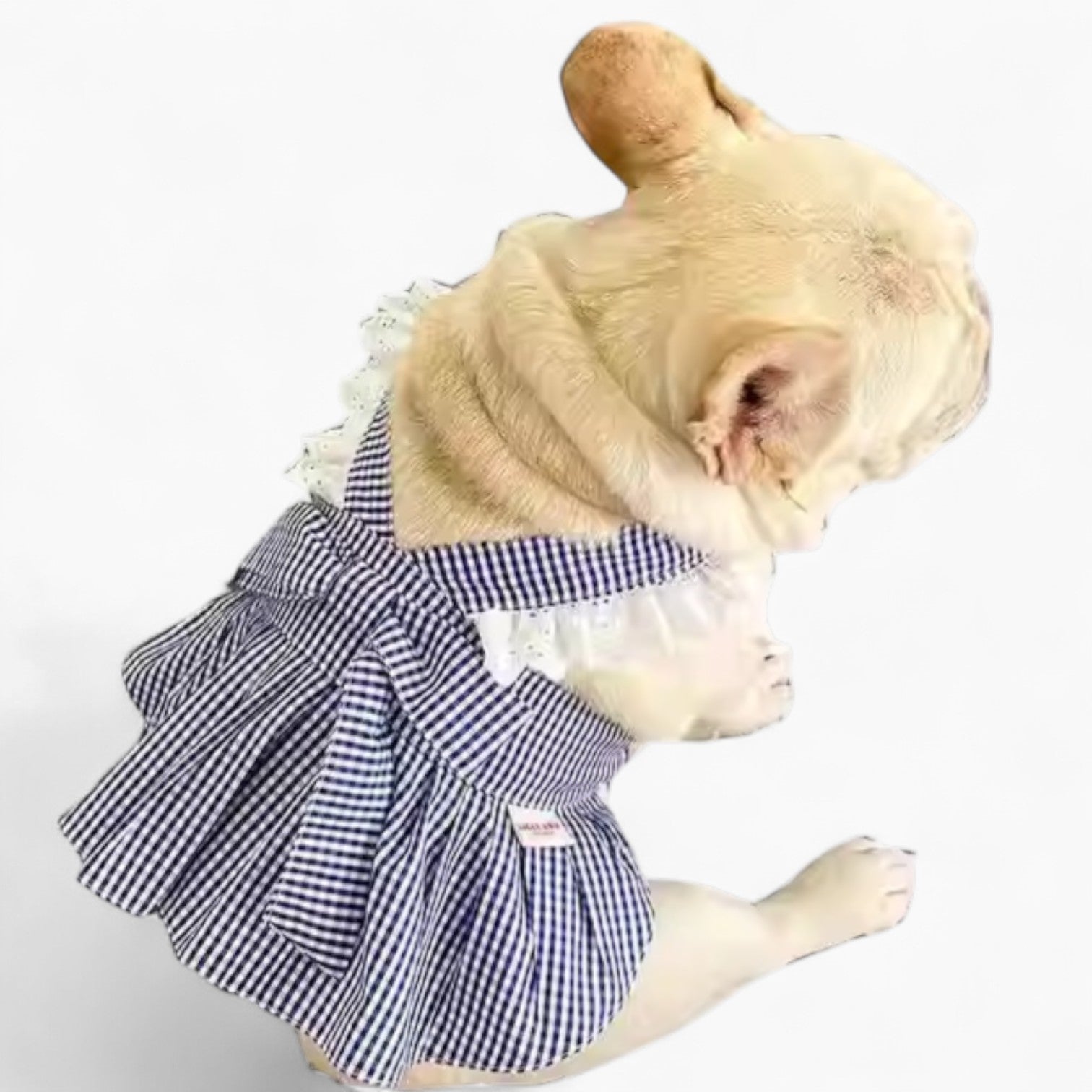 TarTund Frenchie Summer Plaid Skirt – Breathable Cotton Dog Outfit with Lace Cherry Patch