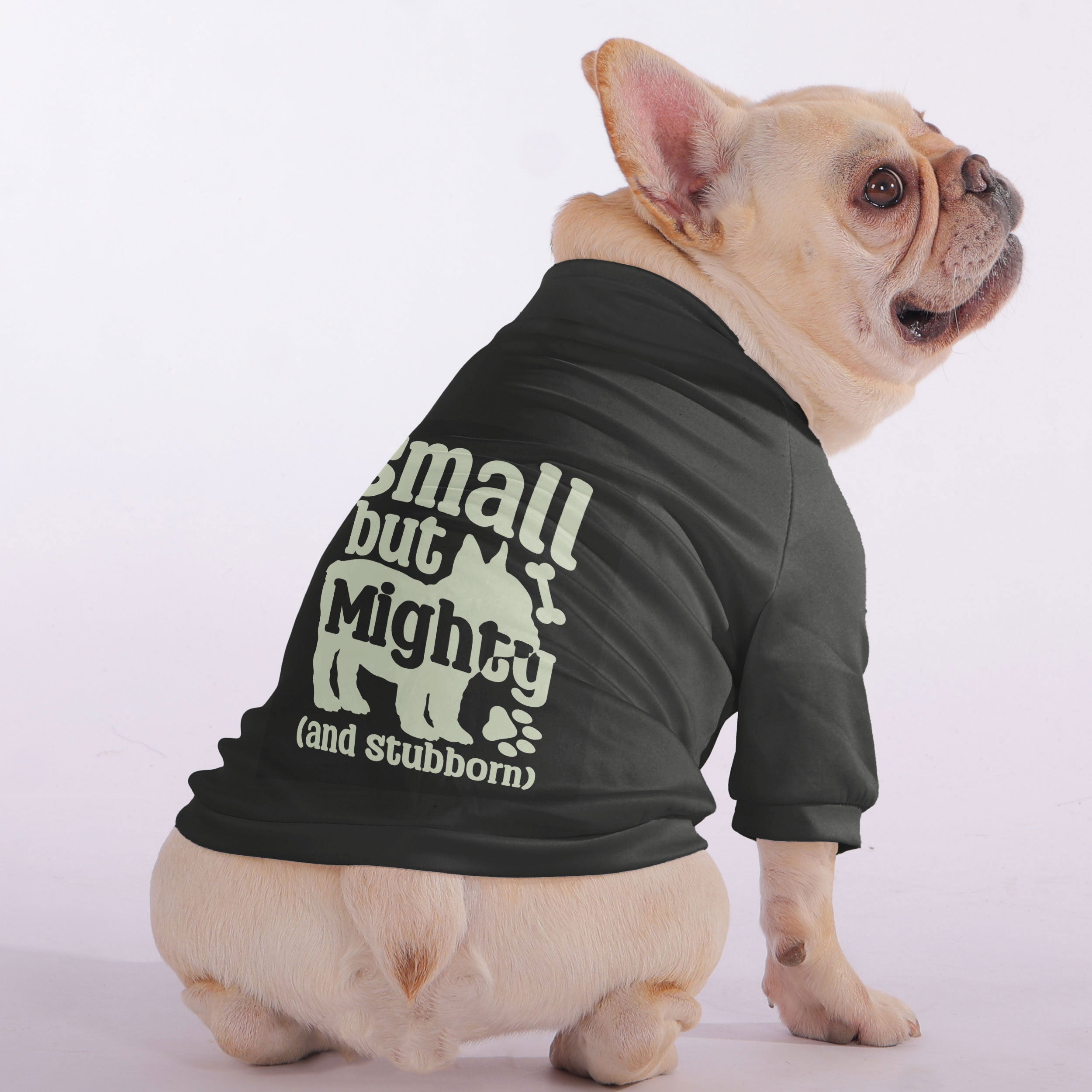 Small but Mighty (and Stubborn) - Snuggly Zip-Up Sweatshirt for French Bulldogs