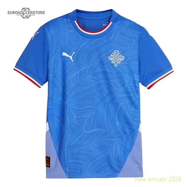 Official European Team 2024-2025 Home Short Sleeve Shirt