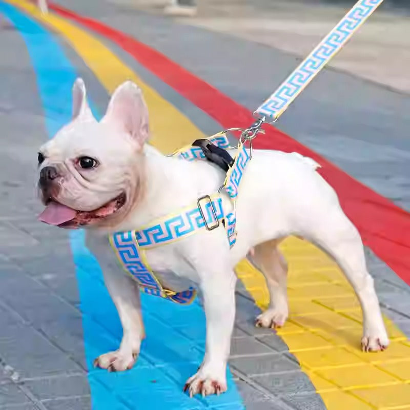 Harness And Leash – Stylish Secure Dog Walking Set For French Bulldogs
