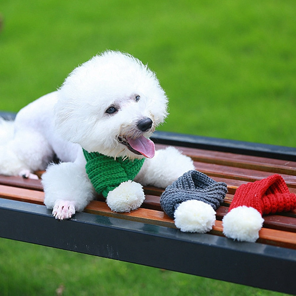 Knit Scarf For French Bulldog For French Bulldogs | Safe For Paws