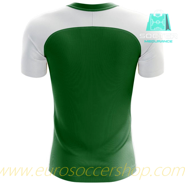 Player Version 2025-26 Edition Nigeria Home Kit Concept Edition