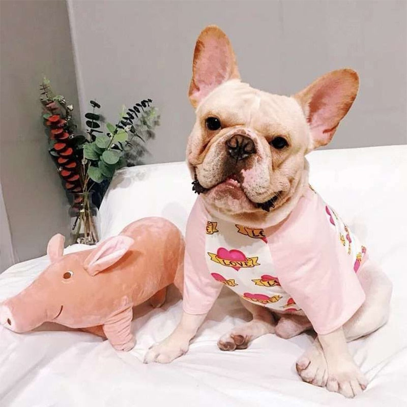 Summer - Bulldog Clothing For French Bulldog Winter Wear