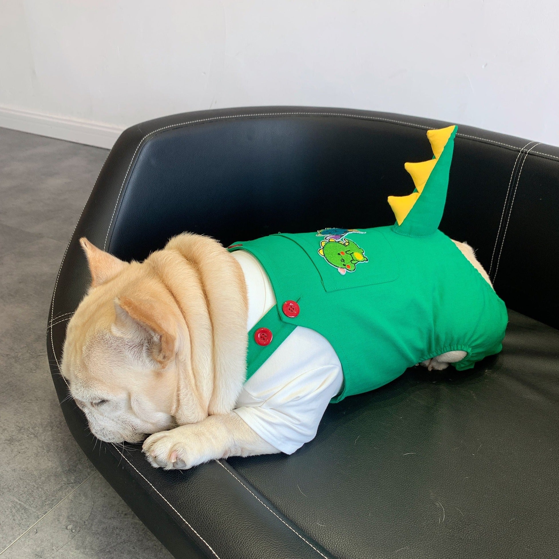 French Bulldog Green Dinosaur Clothes For French Bulldog Warm Dog Outfit