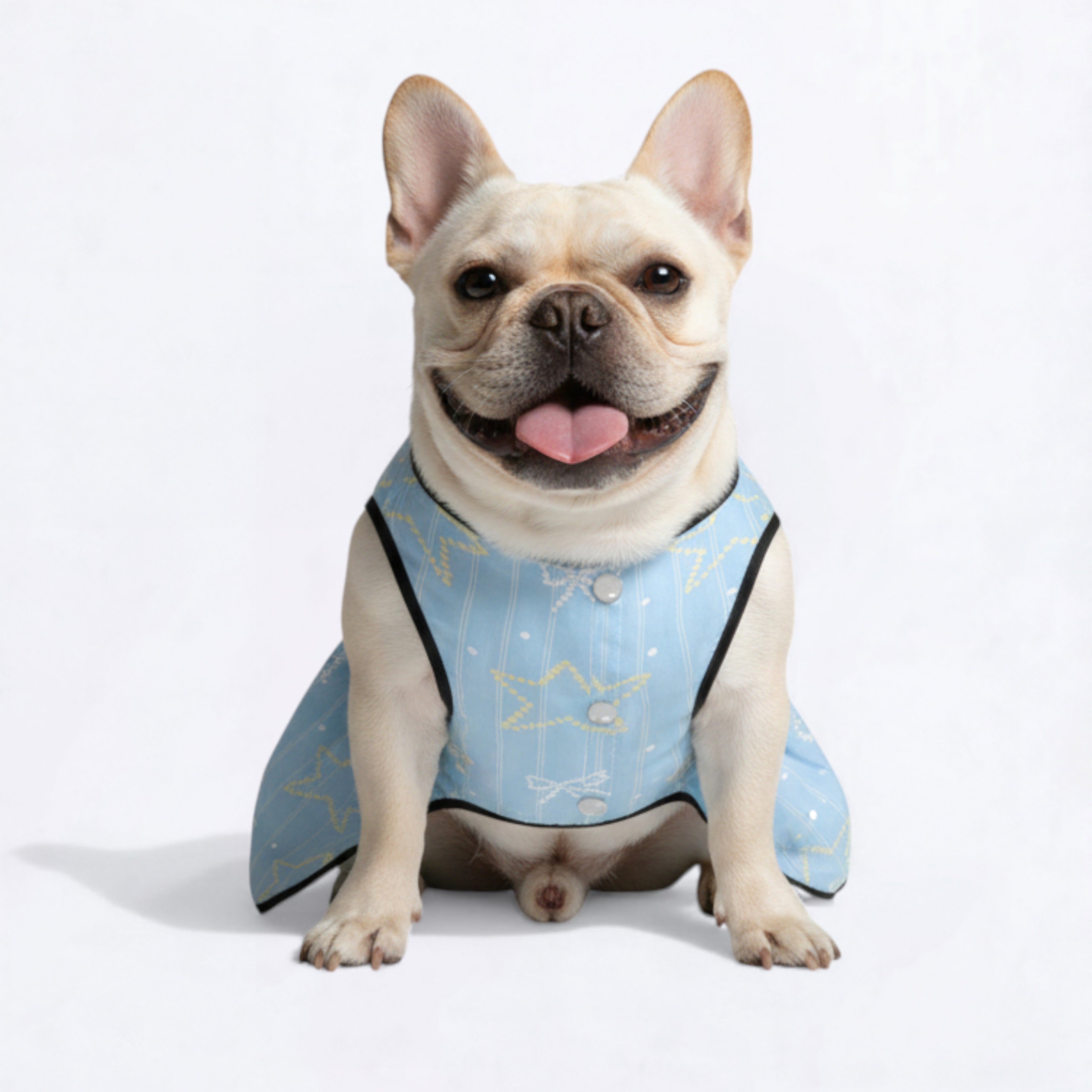 French Bulldog Dresses For Females For French Bulldogs | Vet-recommended