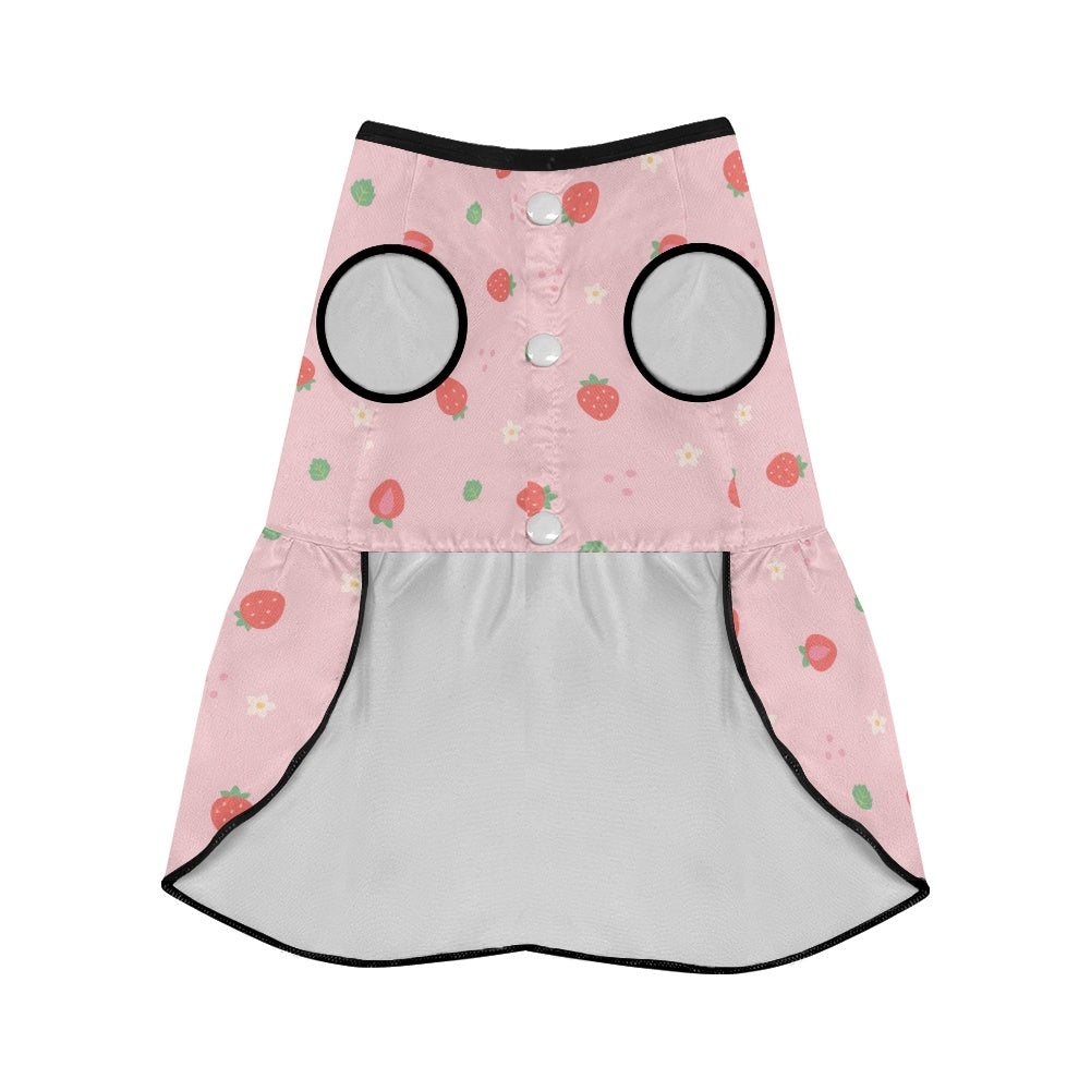 French Bulldog Mila French Bulldog Dresses For Females Durable Dog Item