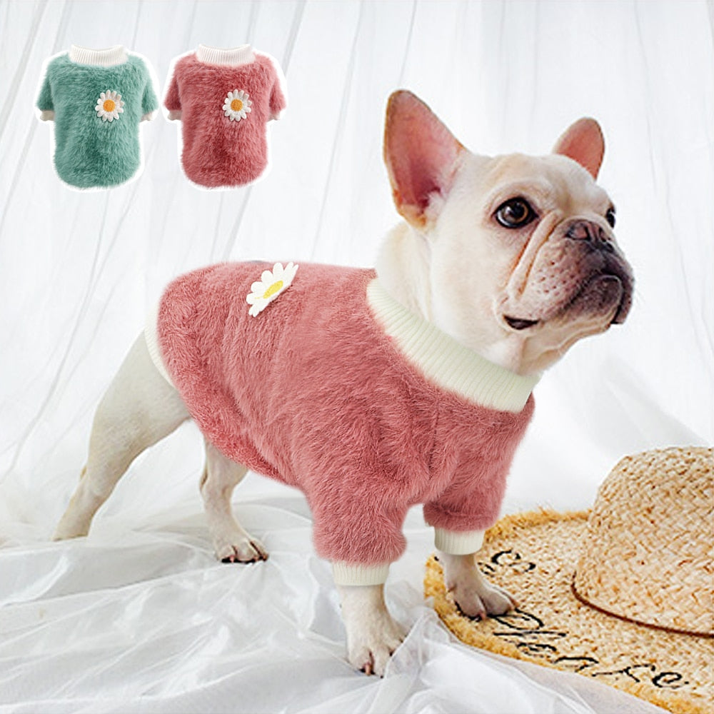 French Bulldog Lucie French Bulldog Winter Clothes Comfy Pet Outfit
