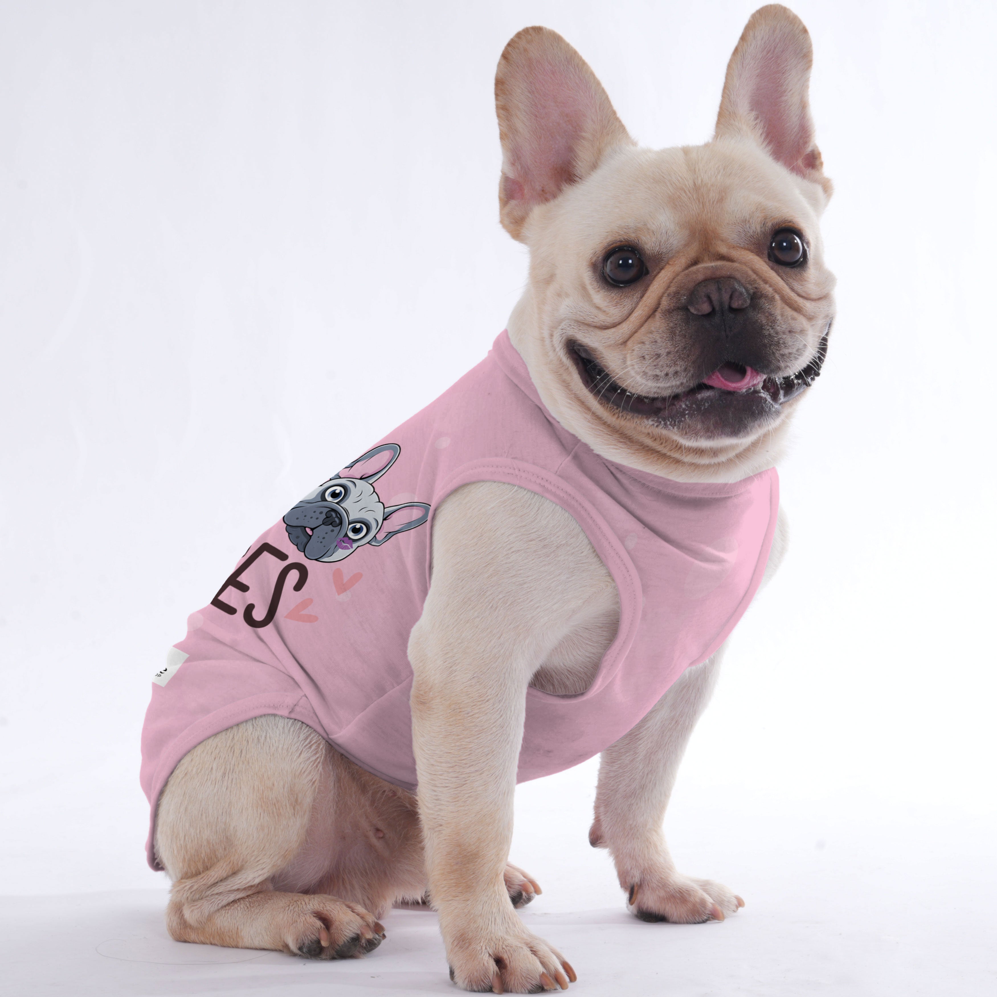 Fashion-Forward Patric - Shirt For Frenchies - Frenchie Shop Original...