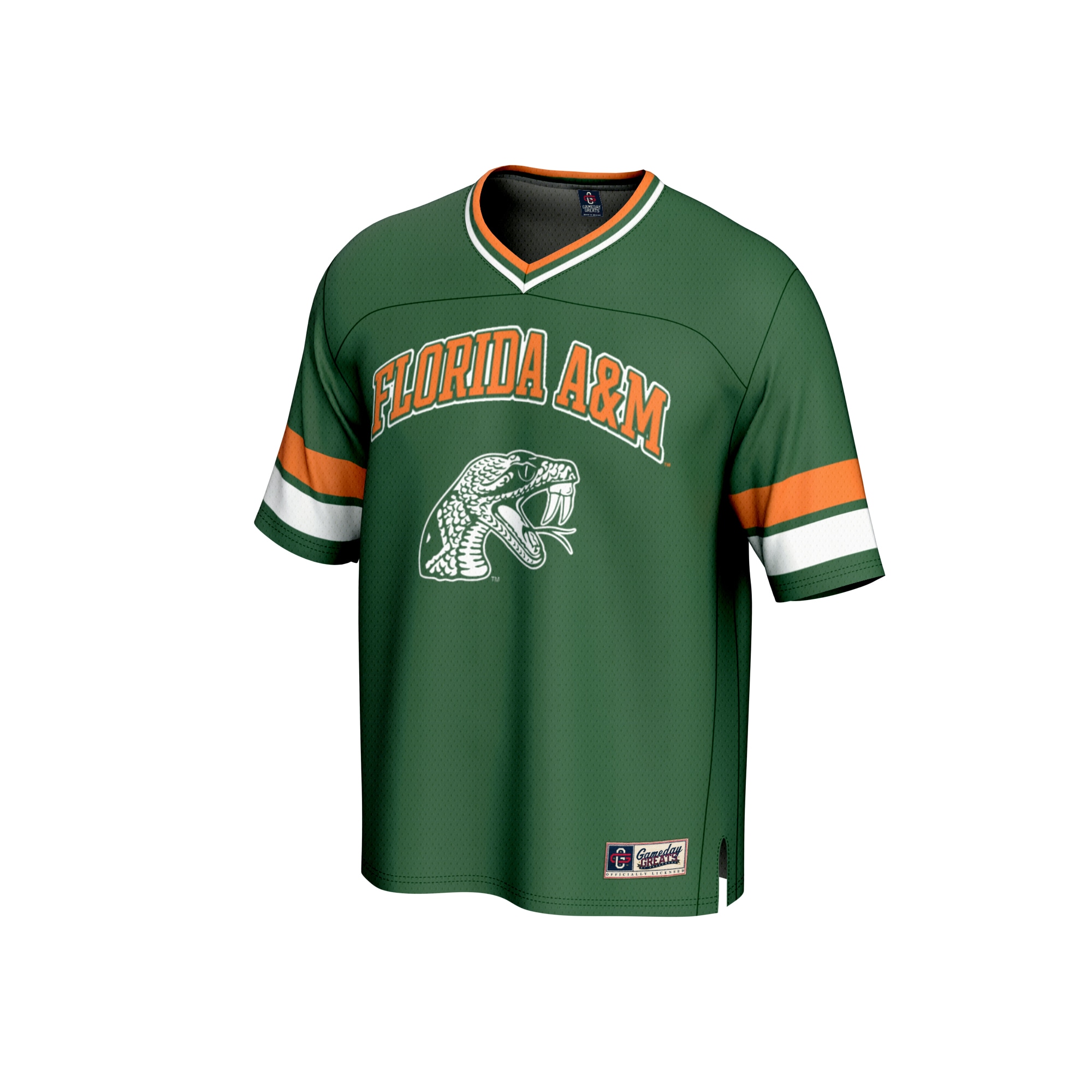 Florida A&M Rattlers GameDay Greats Unisex Spirit Football Jersey - Green