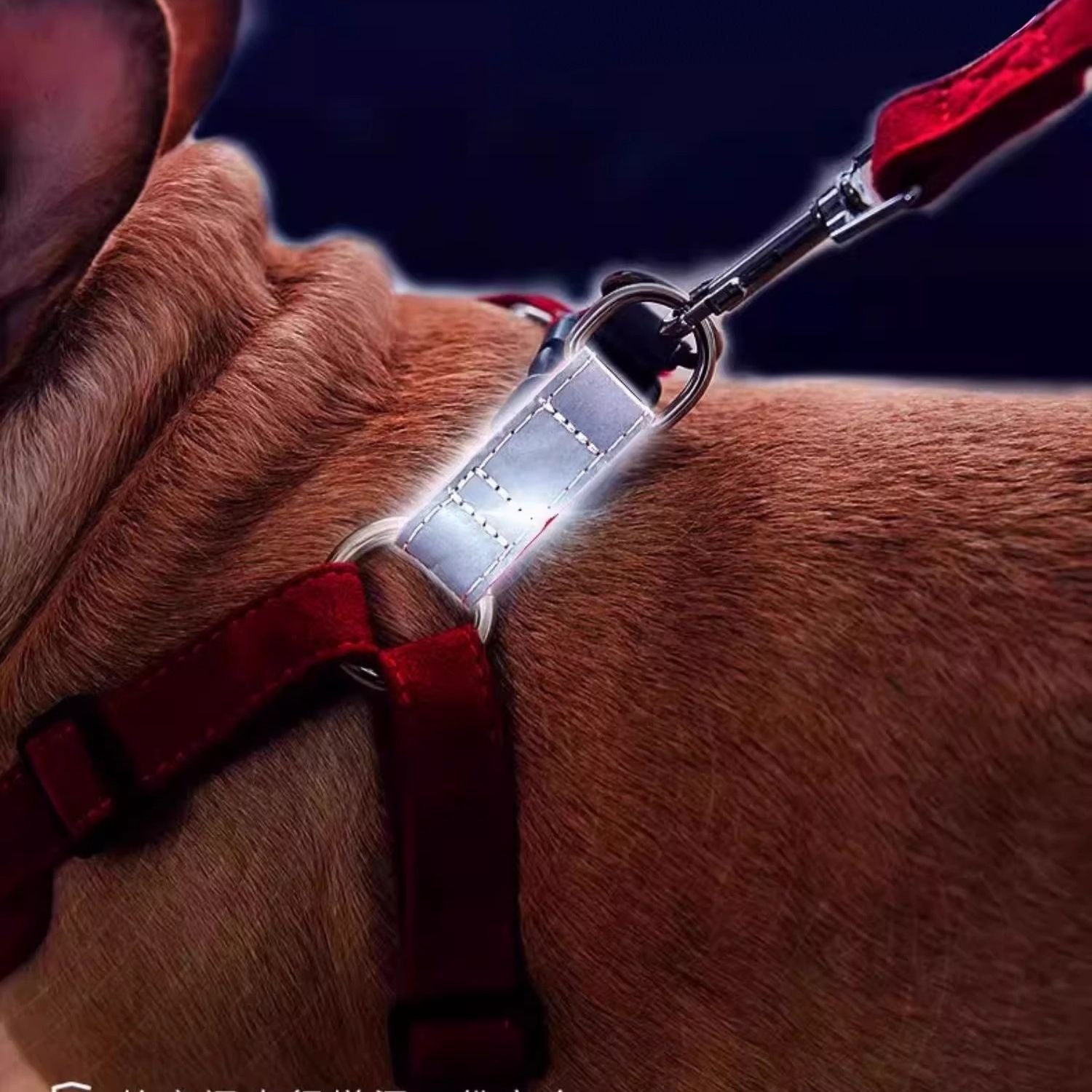 BulldoFit Luxury Suede Frenchie Harness – Breathable Vest & Leash Set