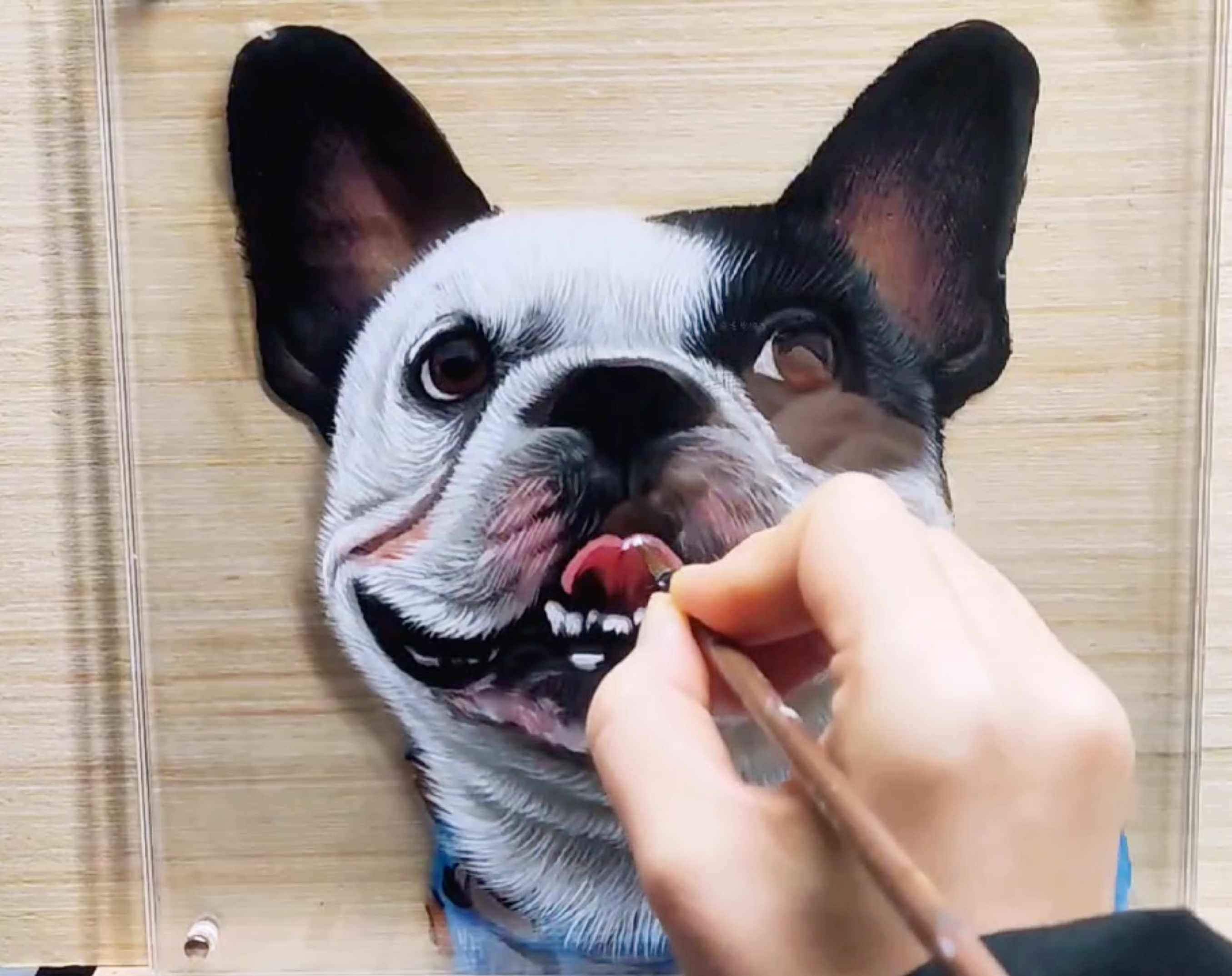 3d Acrylic Glass Art – French Bulldog Lovers Edition Pet Gear