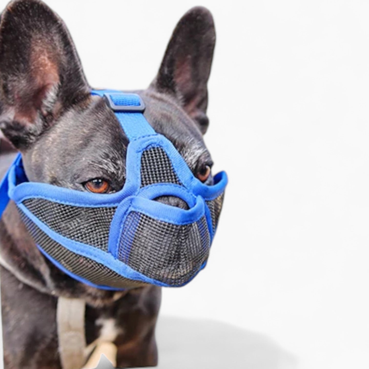 SnoutEase Frenchie Mesh Muzzle – Breathable Anti-Bark Safety Mask