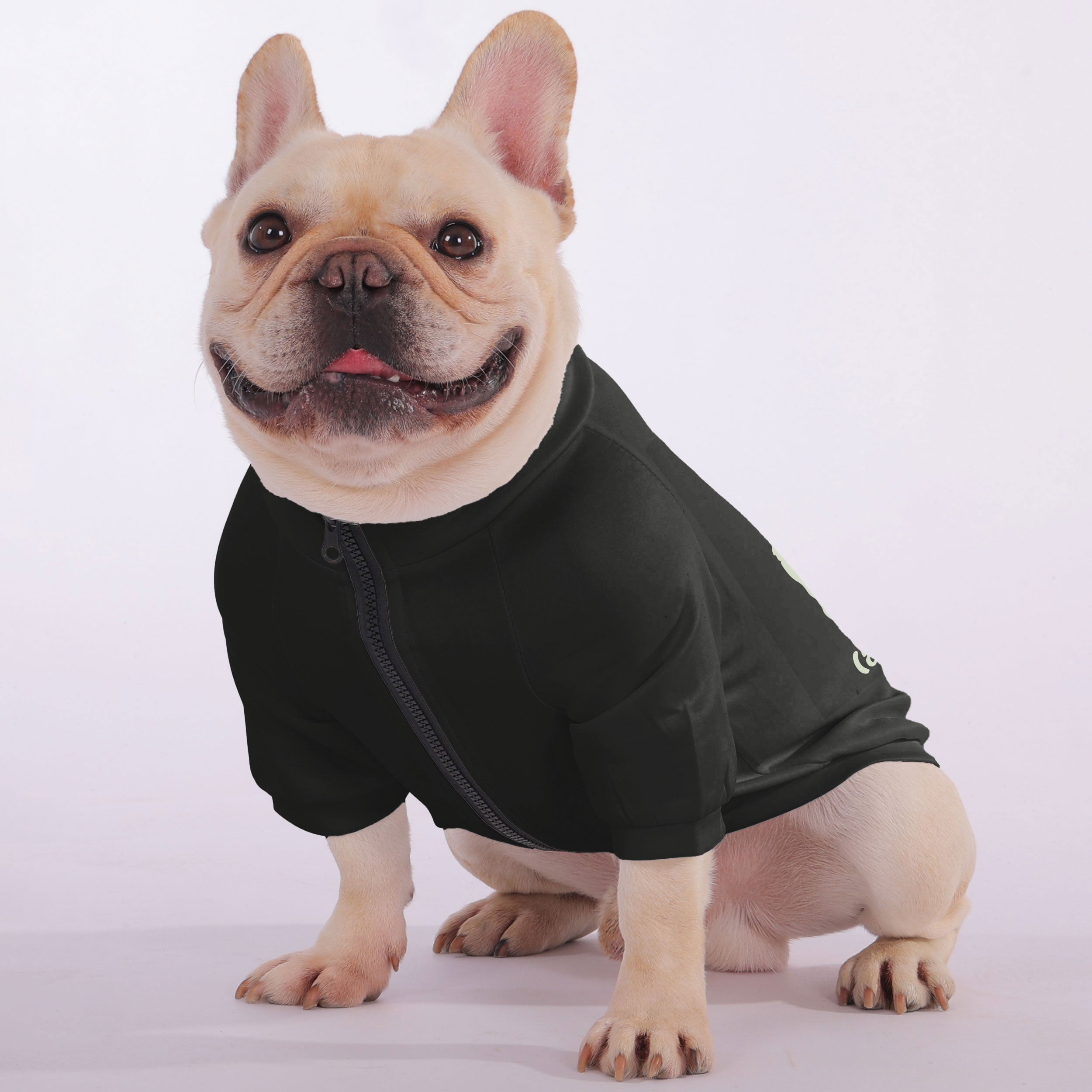 Small but Mighty (and Stubborn) - Snuggly Zip-Up Sweatshirt for French Bulldogs