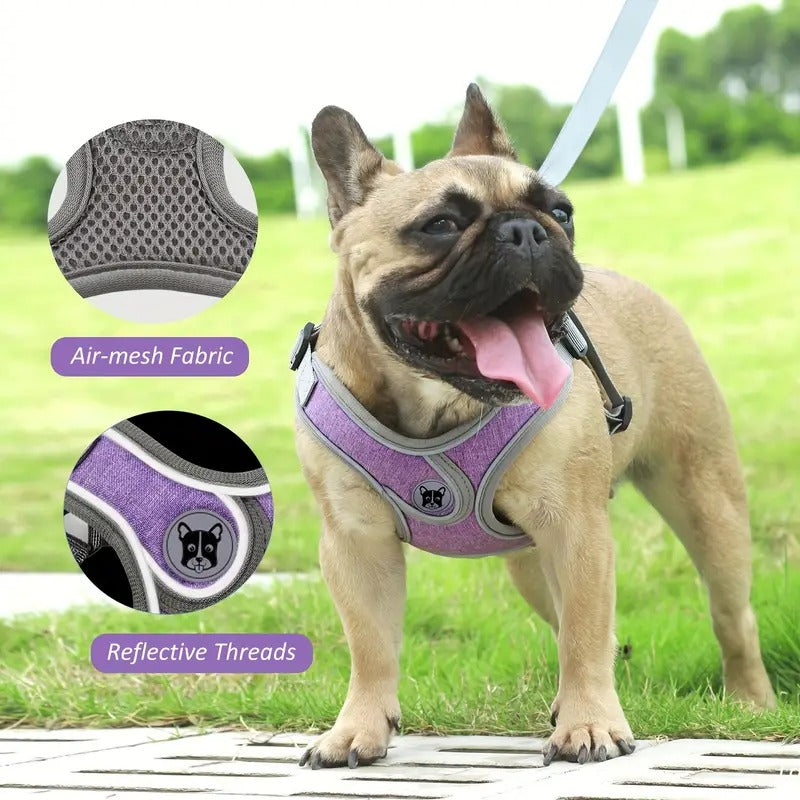 Harness Leash Set – Breathable No-pull Reflective Vest Dog Supplies