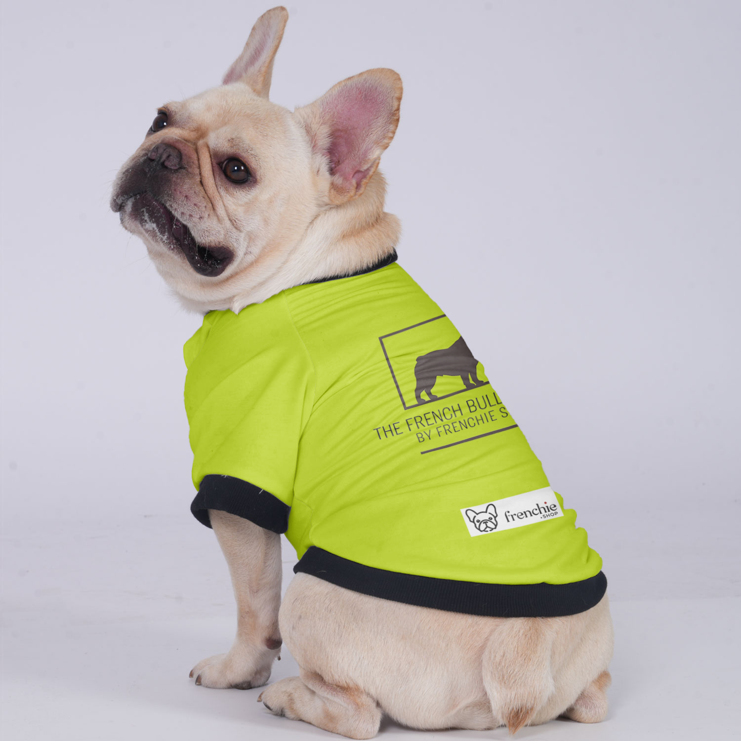 Max - Premium Jacket For French Bulldog Summer Wear | Durable Build
