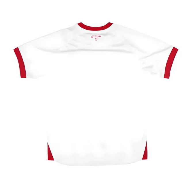 Jordan Home Shirt 2024-2025 edition