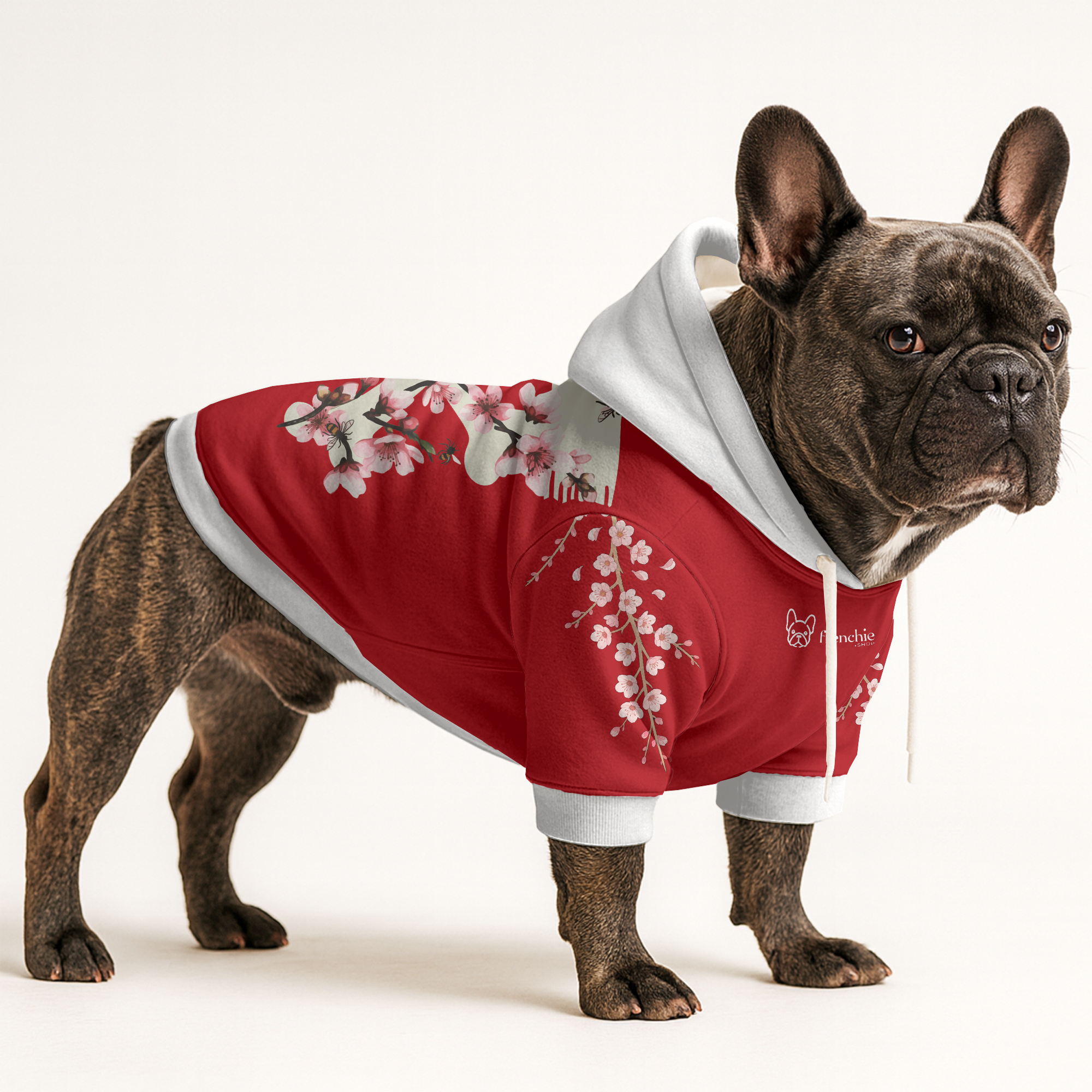 Darwin - Frenchie hoodie