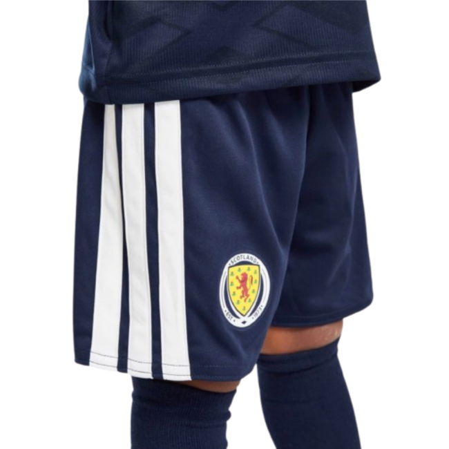 Devoted Authentic Design Sports Institution Latest Edition Supporte...