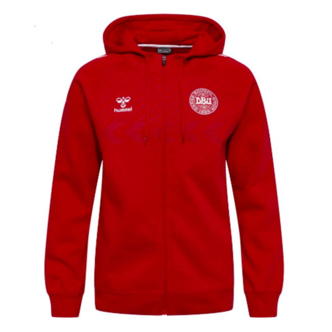 Official 2022-2023 Denmark Fan Replica Soccer High Cup Football