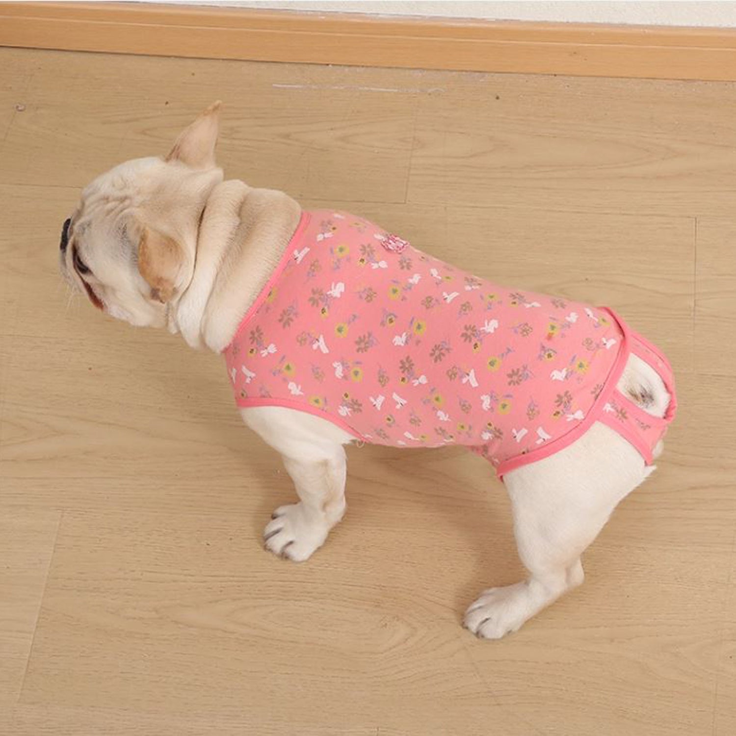 Street-Ready Pawjoy French Bulldog Physiological Pants – Cute Comfy C...