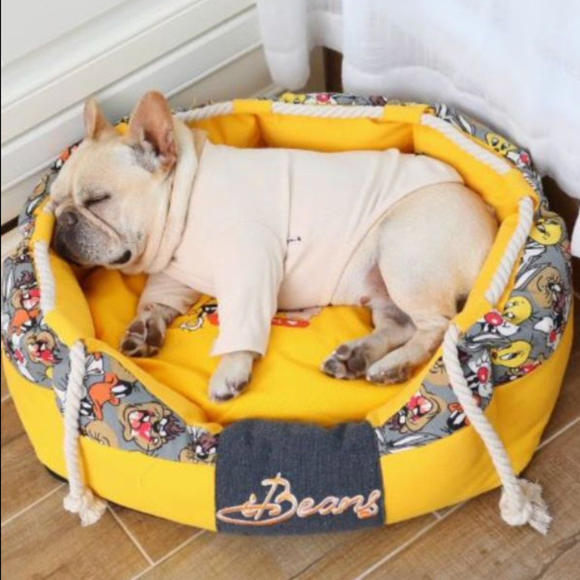 Daily-Walk Pawhaven Soft Frenchie Bed - Comfortable And Stylish Sleep...