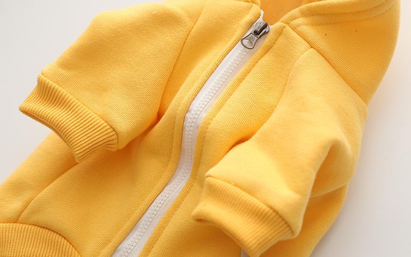 Lover Hoodie For Frenchies (cs6) Pet Owner Apparel | Trendy Style