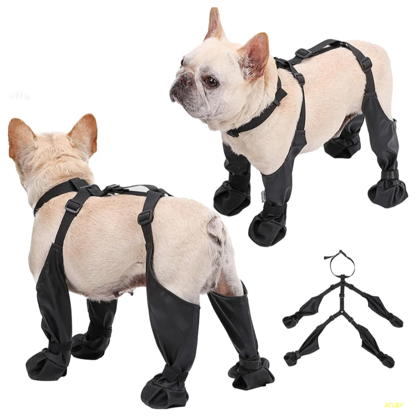 Durable Pawguard French Bulldog Footwear Soft And Stylish Paws Protec...