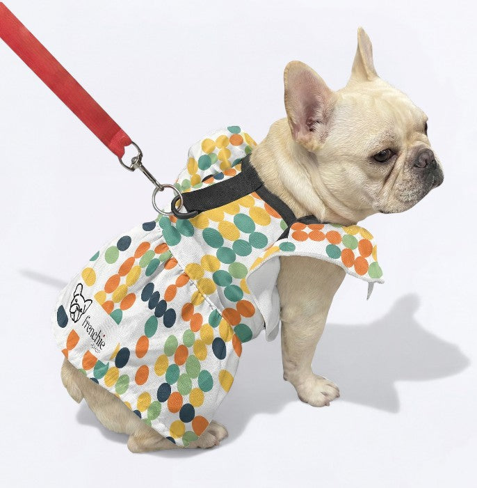 French Bulldog Zuri French Bulldog Dresses For Females Durable Dog Item