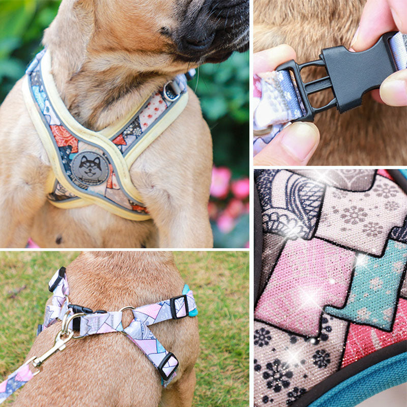 Adjustable Harness And Leash Set For Frenchie Pups | Breed-optimized