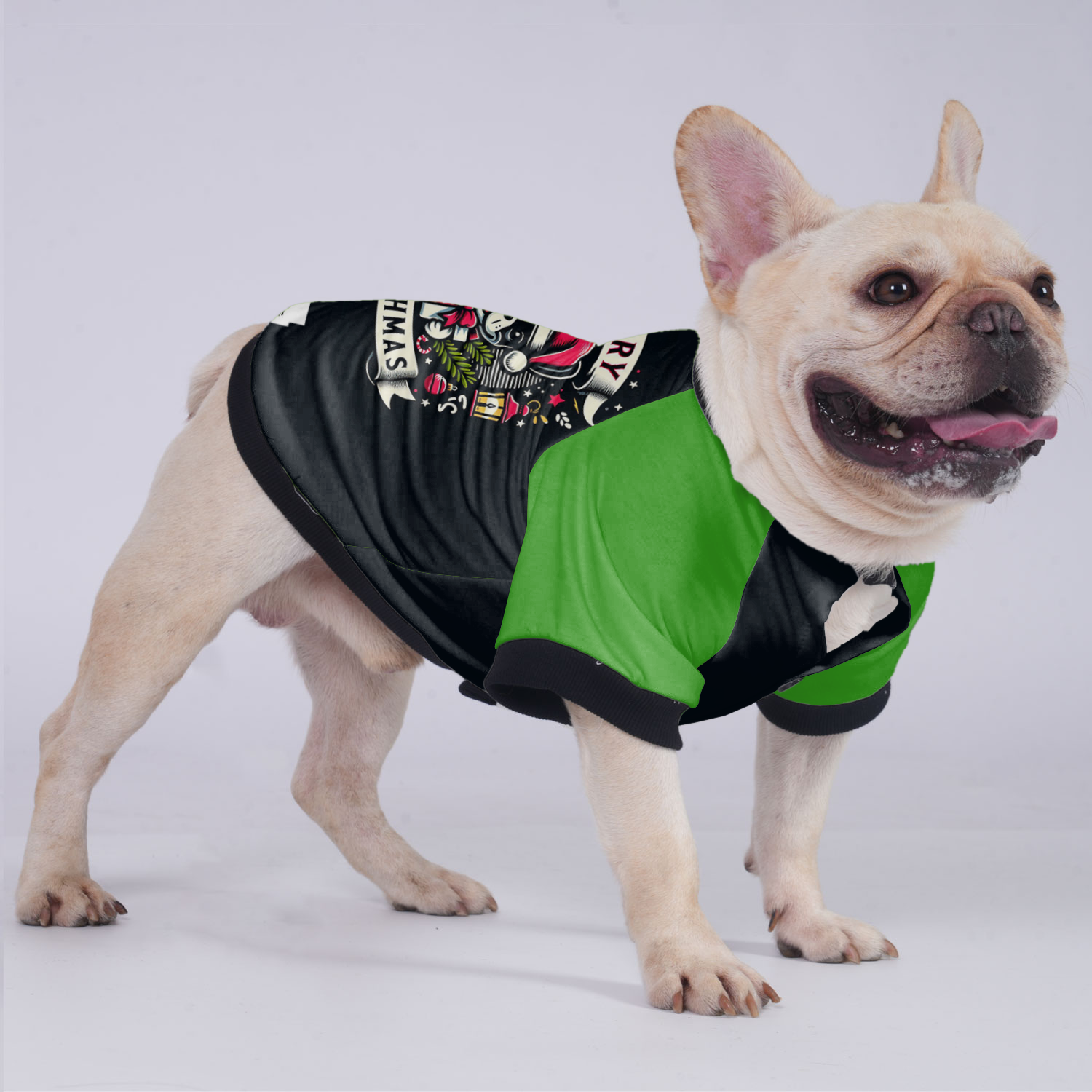 French Bulldog Bailey Jacket For French Bulldog Warm Dog Outfit