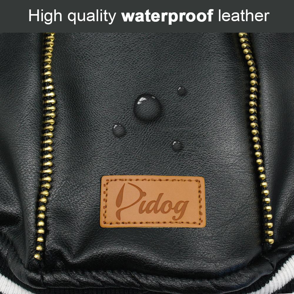 Leather French Bulldog Jacket (WS13)