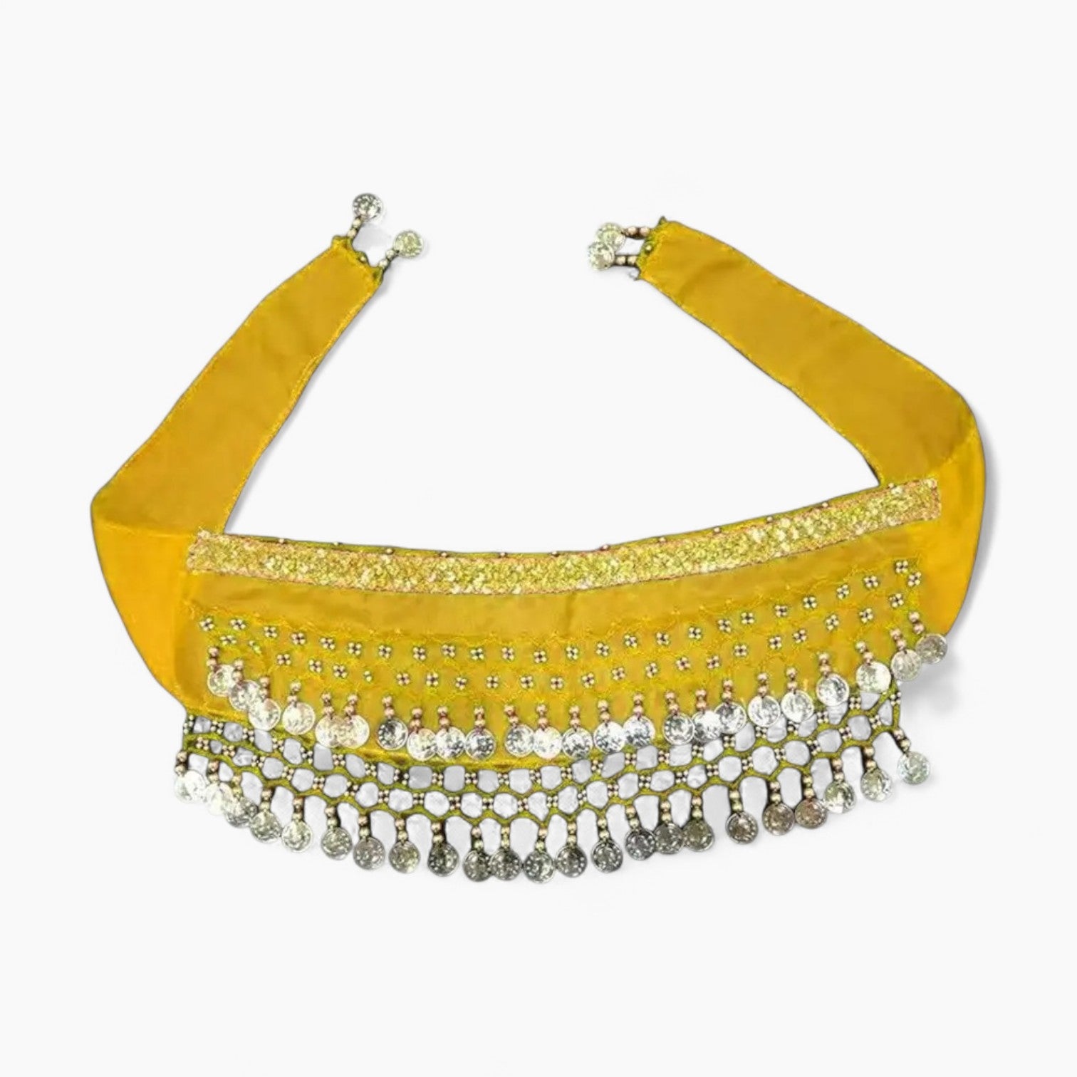 French Bulldog Zestara Frenchie Belly Dance Costume – Sparkling Sequin