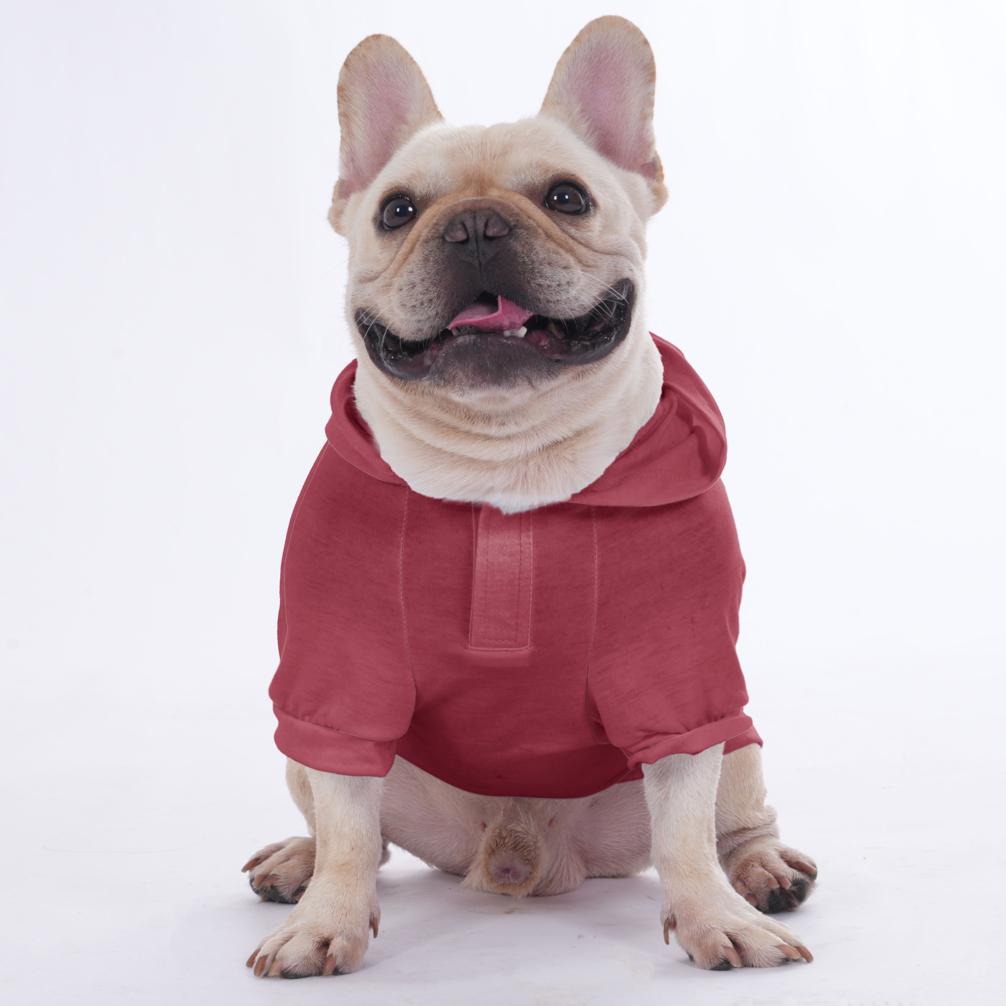Customizable French Bulldog Hoodies with Your Pet’s Name & Number | Frenchie Shop Original
