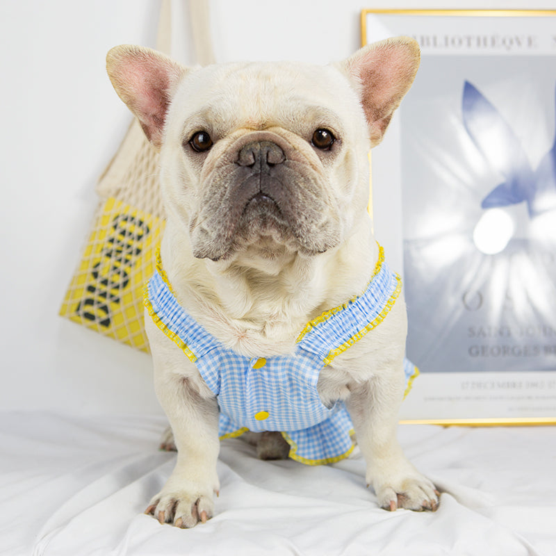 Queen Vest Skirt Frenchie Summer Dress (W318)