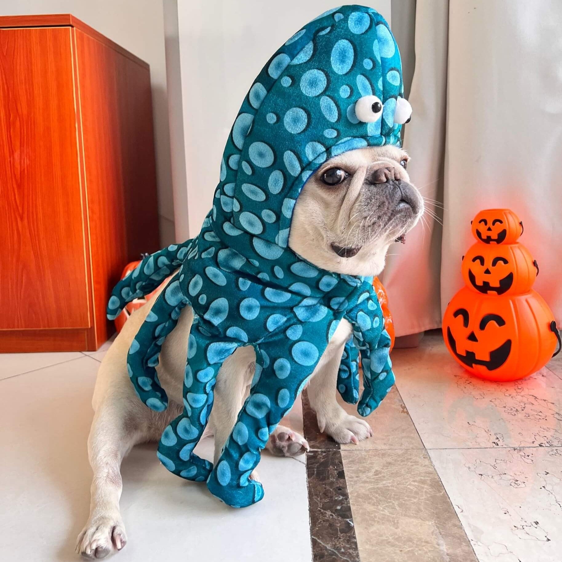 French Bulldog Octuff Frenchie Octopus Costume – Funny Adjustable