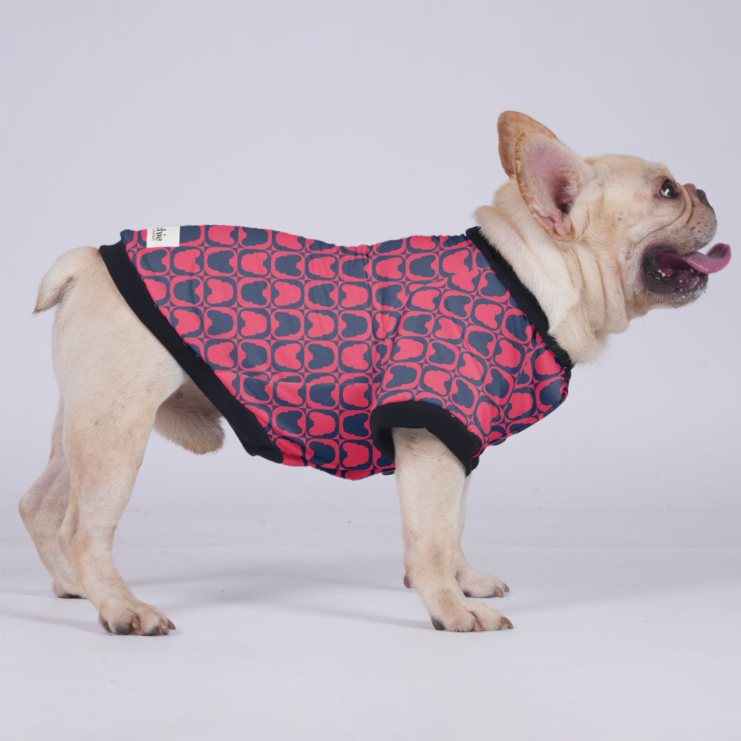 Street-Ready Chip - Jacket For French Bulldog for Street Style Stylish