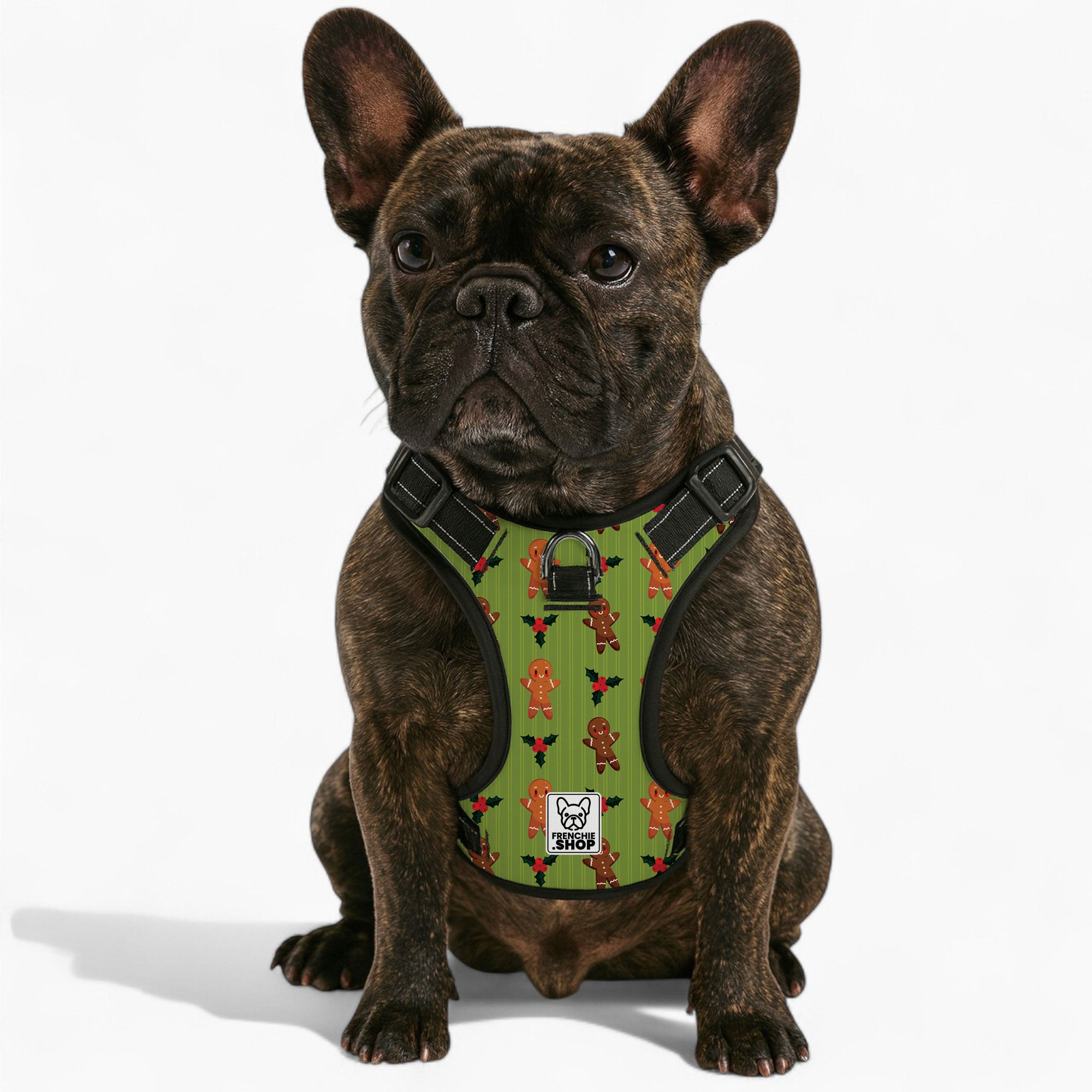 French Bulldog Mabel No Pull French Bulldog Dog Harness Practical Dog Gear