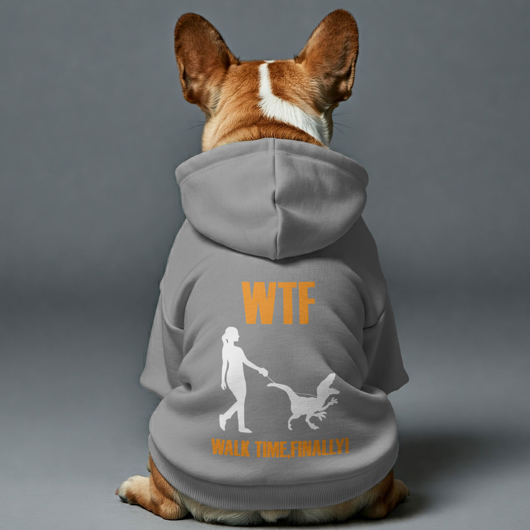 Walk Time - Durable Personalized French Bulldog Hoodies With Funny Quotes – Stylish, Cozy, And Premium 100% Cotton Casual Wear