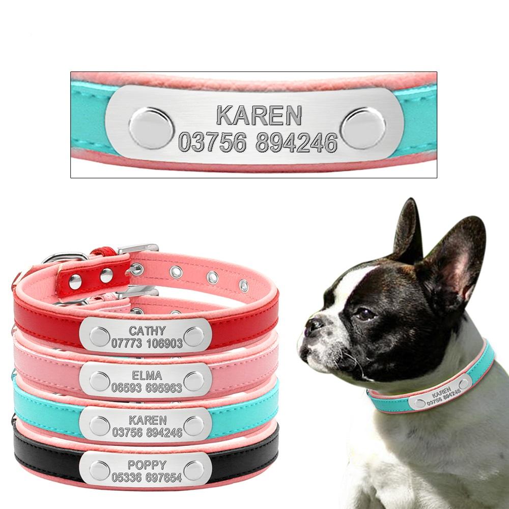 Breed-Specific Custom Frenchie Collar for Short-Nosed Breeds Comfortable